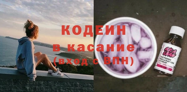 крисы Абаза