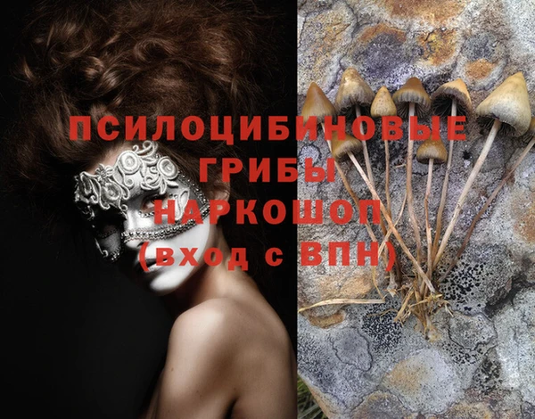 дживик Абинск