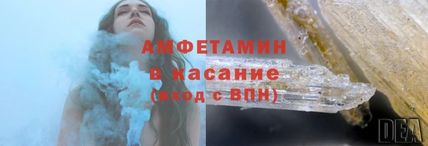 крисы Абаза
