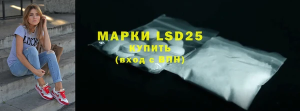 крисы Абаза