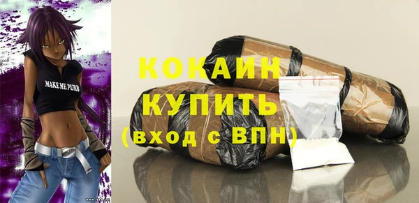 дживик Абинск