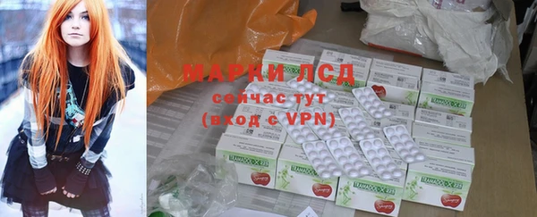 крисы Абаза