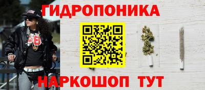 Альфа ПВП Обь