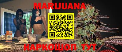 Альфа ПВП Обь