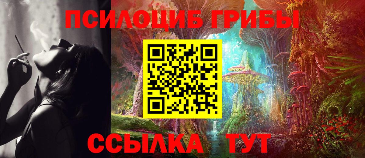 Шарыпово  Галлюциногенные грибы мицелий  Псилоцибиновые грибы Magic Shrooms  Вход с VPN 