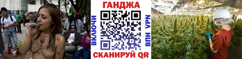наркотики Шарыпово Каннабис сатива